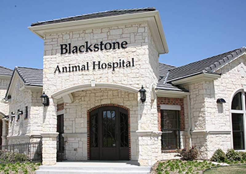 Carousel Slide 2: Learn more about us!